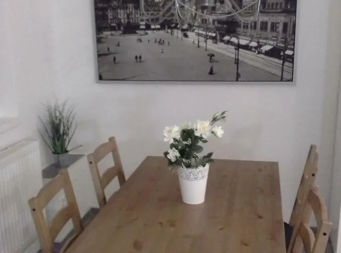 Alles Paletti Mit Klimaanlage Wittenberg