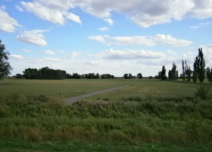 Alles Paletti Mit Klimaanlage * Wittenberg