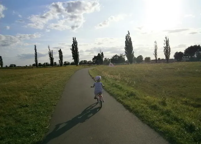 Alles Paletti Mit Klimaanlage * Wittenberg